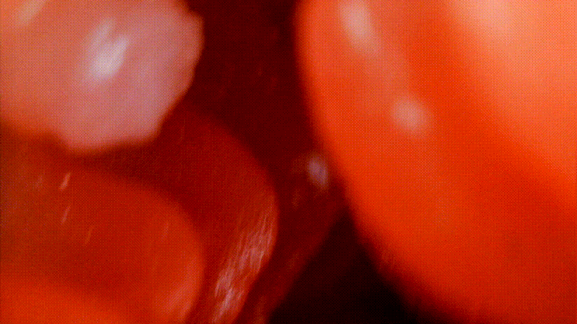 我拿下女神的秘诀就是它!–评测TMT“彼女姐姐”名器!真香!18 我拿下女神的秘诀就是它!–评测TMT“彼女姐姐”名器!真香!