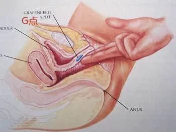 如何通过G点棒来增加女生的快感