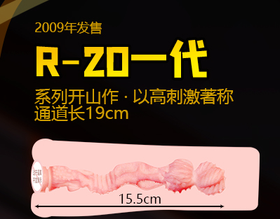 经典“榨汁机”对子哈特R20系列三代产品哪款好？横向对比评测