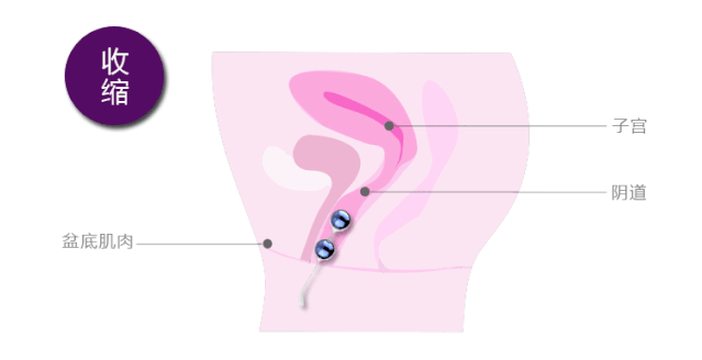 私密养护太重要了,blush为爱“紧上添花”4 私密养护太重要了,blush为爱“紧上添花”