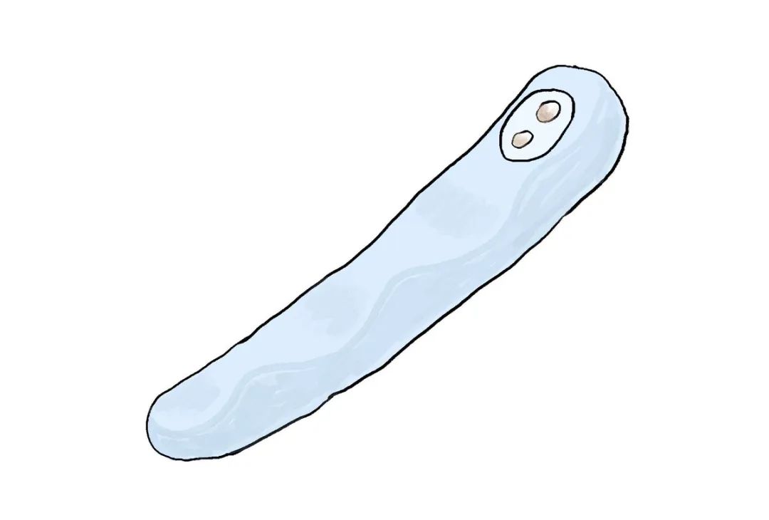 情趣玩具测评— iroha FIT 水中月13 情趣玩具测评— iroha FIT 水中月