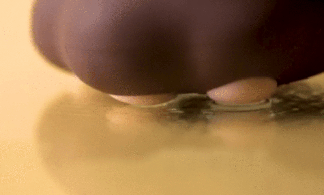 新手推荐：颜值爆棚小猫掌，还是个暖宝宝！