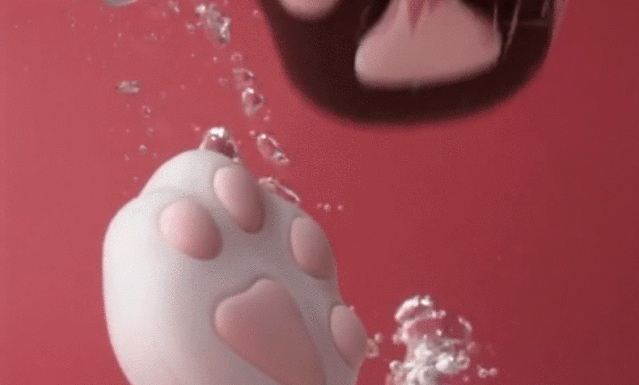 新手推荐：颜值爆棚小猫掌，还是个暖宝宝！