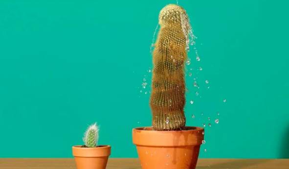 如果你知道擦隔离防晒，就应该备几款润滑液