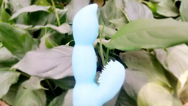 评测:我爱你的胡搅蛮缠,LC品爱蔚蓝豆荚2 评测:我爱你的胡搅蛮缠,LC品爱蔚蓝豆荚