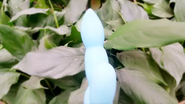 评测:我爱你的胡搅蛮缠,LC品爱蔚蓝豆荚3 评测:我爱你的胡搅蛮缠,LC品爱蔚蓝豆荚