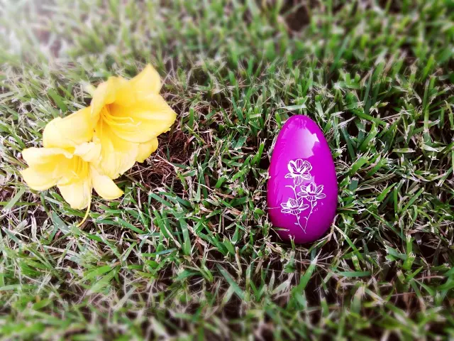 评测:高端玩具领导者——LELO NEA妮娅22 评测:高端玩具领导者——LELO NEA妮娅2