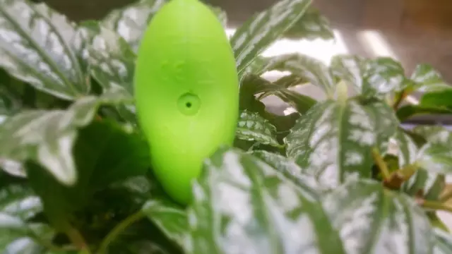 评测：leaf系列——新鲜(fresh)按摩器