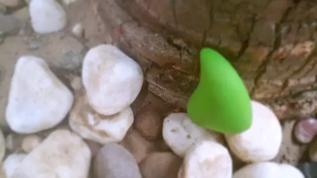 评测：leaf系列——新鲜(fresh)按摩器