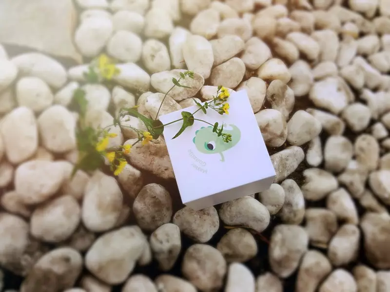 评测:国产好货,monster pub哥斯拉大师