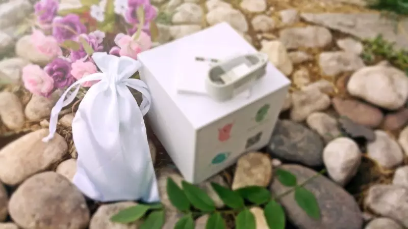 评测:国产好货,monster pub哥斯拉大师