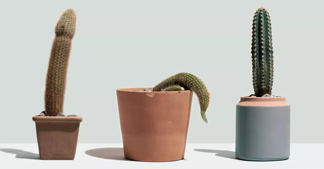 什么形状的丁丁最受姐妹们青睐？TITILLO勺子震动棒