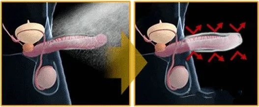 让女人舒服的性爱时间是多久？答案竟然是……