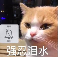 女生从来没有过高潮怎么回事？想高潮，靠它！