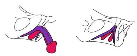 女生从来没有过高潮怎么回事？想高潮，靠它！