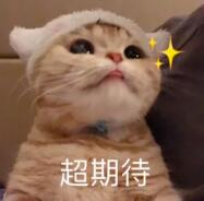 女生从来没有过高潮怎么回事？想高潮，靠它！