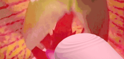 女生从来没有过高潮怎么回事？想高潮，靠它！