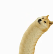 和女票同时到达高潮，是种怎样的体验